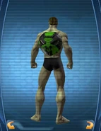 BackWarriorofSpring.jpg (30 KB) Warrior of Spring Back