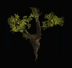 Decorative Tree Branch