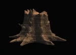 Spooky Tree - Stump