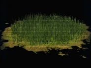 Firefly Grass Patch.png (91 KB)