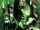Green Lantern Corps 001.jpg