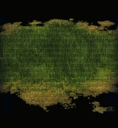 Firefly Grass Patch - Large.png (158 KB)