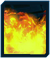 Fire.png