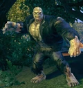 Solomon Grundy