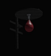 Speed Bag