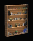 Craft Supply Wide Bookshelf