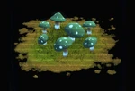 Small Blue Fluorescent Mushrooms