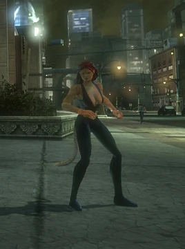 Catch Cheetah (scene)