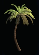 Palm Tree (A).png (83 KB)
