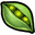 SeedPods.png