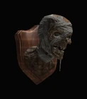 Mounted Mummy Head