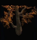 Autumn Tree Branch