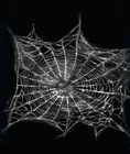 Cobwebs - Ceiling