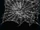 Cobwebs - Ceiling