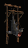 Hanging Shark (League)