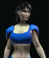 Shoulders of Will equipped.png (98 KB)