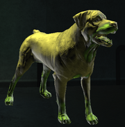 Canine Form.png