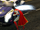 Brawling