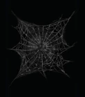 Cobweb - Wall