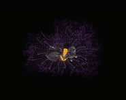 Coluan Transducer.png (30 KB)