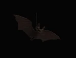 Gotham Zoo Model - Flying Bat