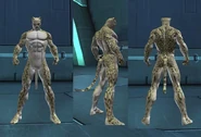 LeopardMale.jpg (52 KB) Male Appearance