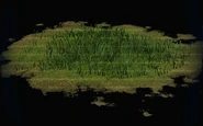 Grass Patch.png (85 KB)