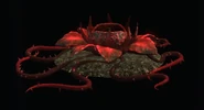 Hellseed Pod - Hatched.png (55 KB)