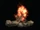 Camp Fire
