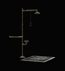 Emergency Chemical Shower