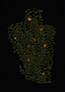 Climbing Wall Vines.png (120 KB)