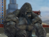 Gorilla Technician