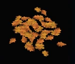 Pile of Autumn Leaves