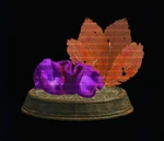 Fan Coral Planter - Medium