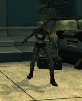 Cheetah (Bottled D.C.)