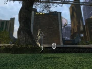 MMET101 AUDIO-PC-11-11.26.350