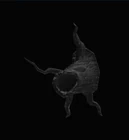 Severed Evil Tree Branch