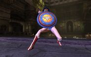 WonderWomanShield1