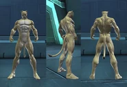 LionMale.jpg (50 KB) Male Appearance