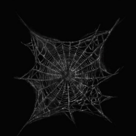 Orb Spider Web Dc Universe Online Wiki Fandom Corner spider web images hd photos format: orb spider web dc universe online