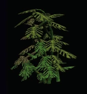 Large Plant.png (102 KB)