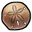 SandDollar.png