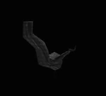 Rising Evil Tree Branch