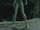 Poison Ivy (Arkham Asylum)