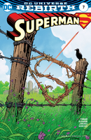 Superman #7