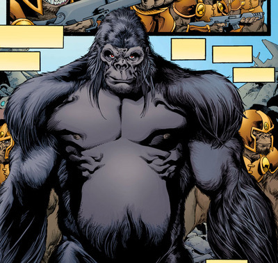 Gorilla Grodd | DC Villians Wiki | Fandom