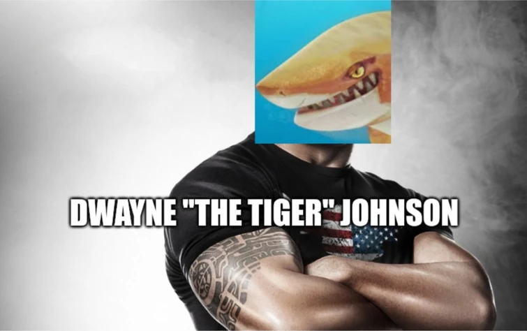 Fandom Image