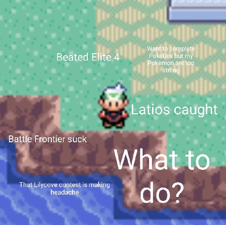 What to do after Elite 4 Fandom