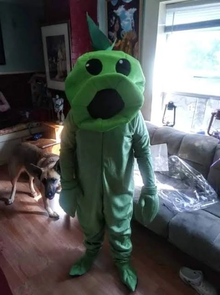 if i were to get the peashooter costume should i wear it to school Fandom