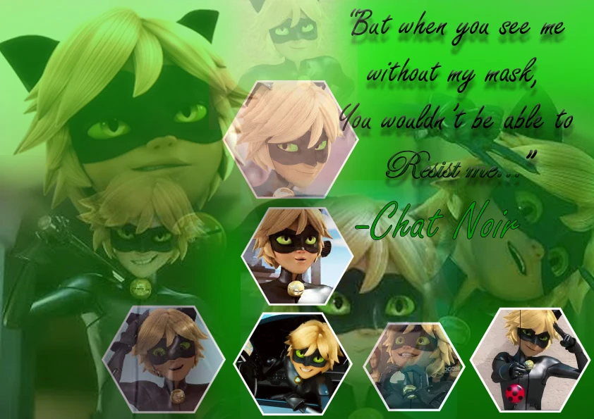 Chat noir / Adrien Agreste | Fandom